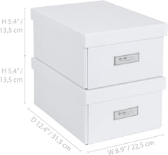Bigso Karin Collapsible Storage Box - Photo Storage Box - 2 Pack - White