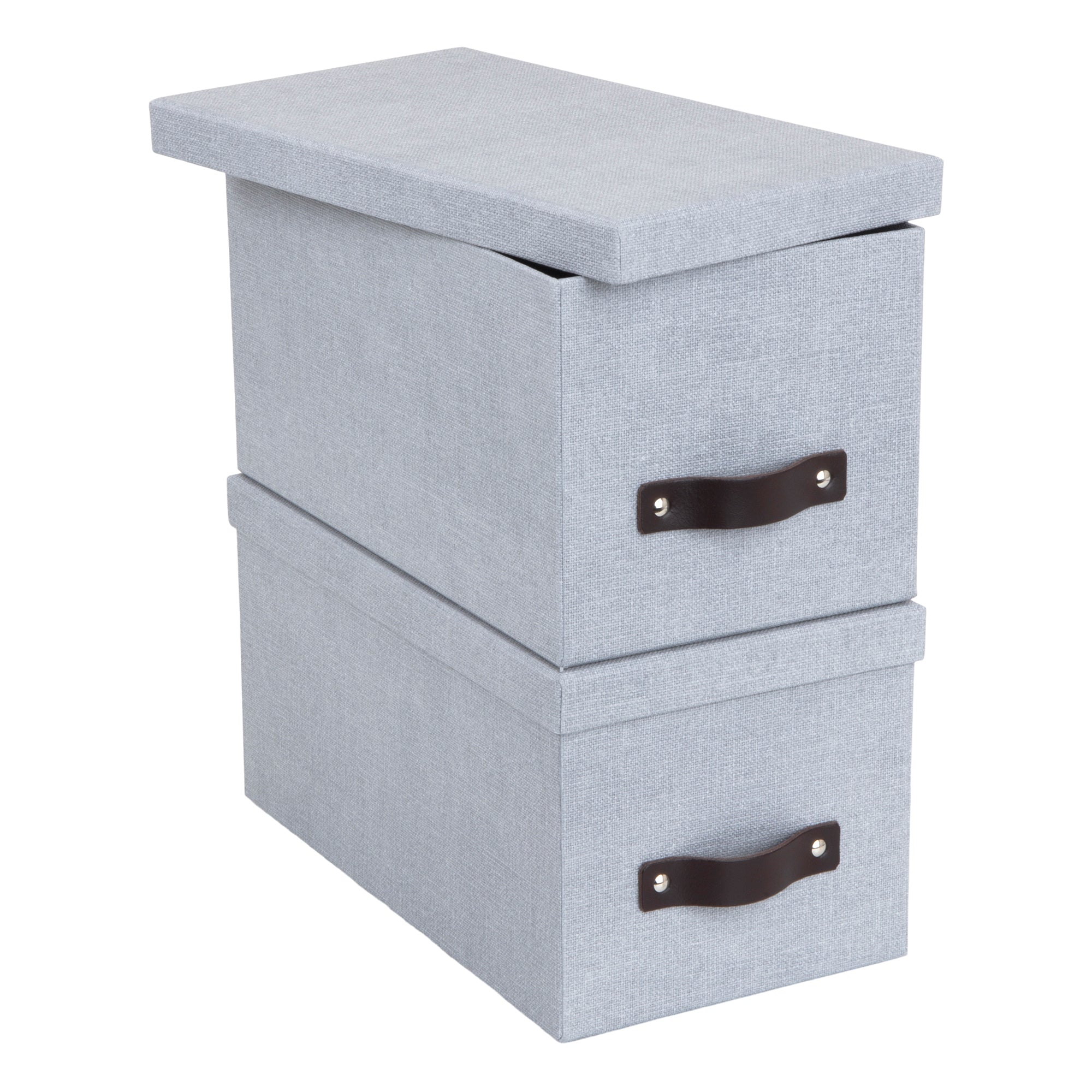 Bigso Silvia Organizational Storage Box | Photo Storage Box | 2 Pack |